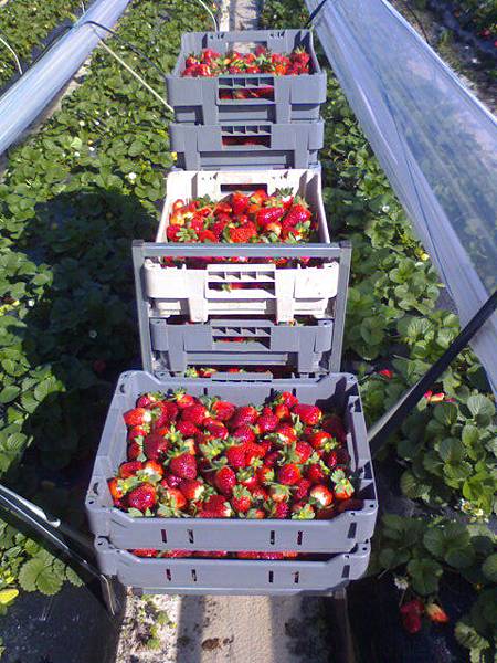 DSC08013.JPG DSC08013.JPG