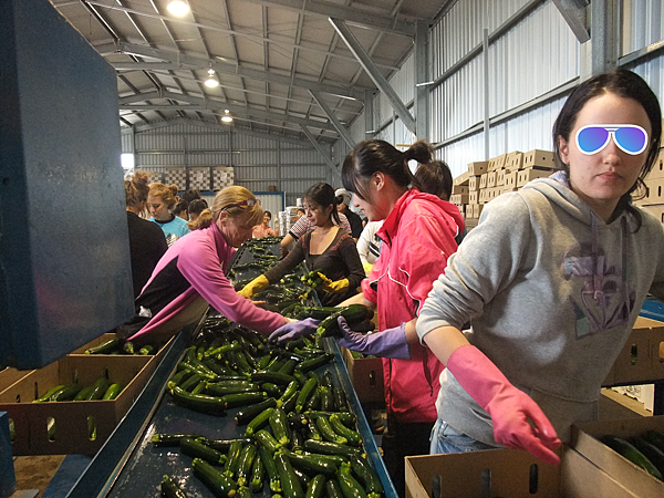 D1SCF3507.png D1SCF3507.png