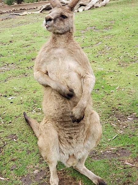 1541764849681.jpg 1541764849681.jpg