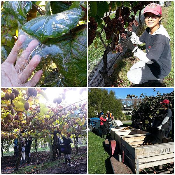 PhotoGrid_1550481747405 (1).jpg PhotoGrid_1550481747405 (1).jpg