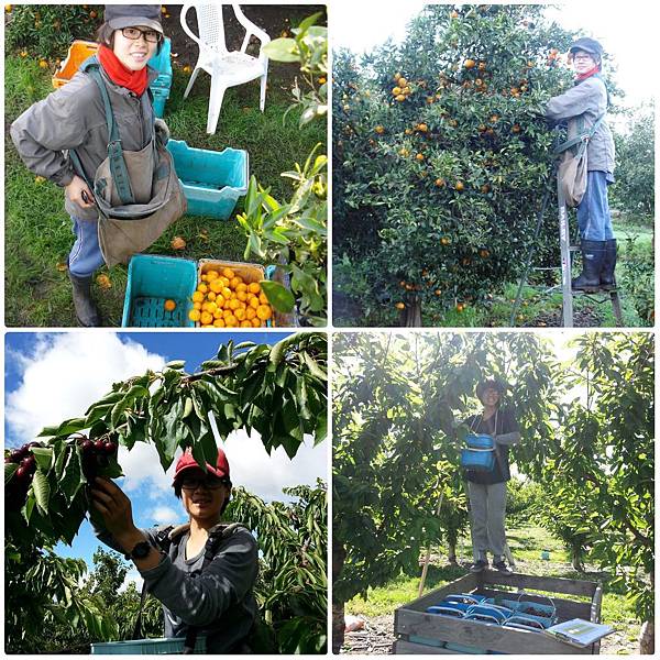 PhotoGrid_1550481520567.jpg PhotoGrid_1550481520567.jpg