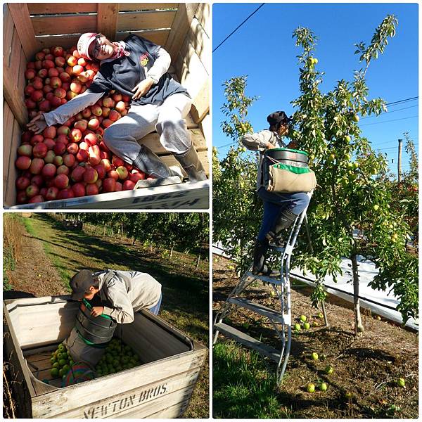 PhotoGrid_1550481256327.jpg PhotoGrid_1550481256327.jpg