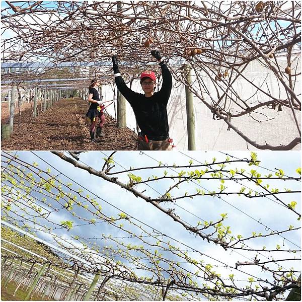 PhotoGrid_1551280631737.jpg PhotoGrid_1551280631737.jpg