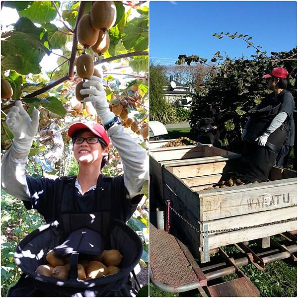 PhotoGrid_1551280992981.jpg PhotoGrid_1551280992981.jpg