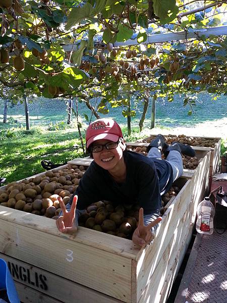 CameraZOOM-20140517134059496.jpg CameraZOOM-20140517134059496.jpg