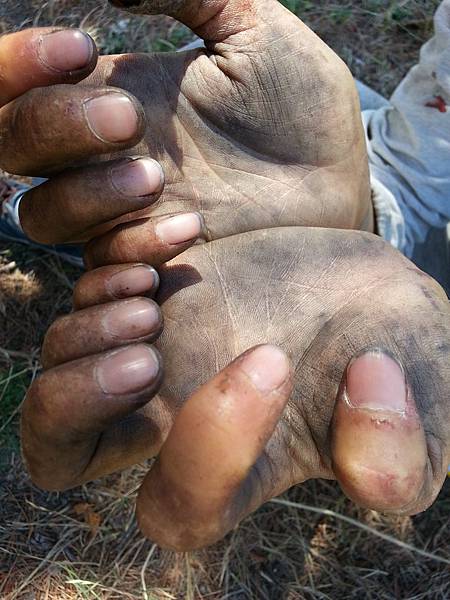 CameraZOOM-20140115144807505.jpg CameraZOOM-20140115144807505.jpg