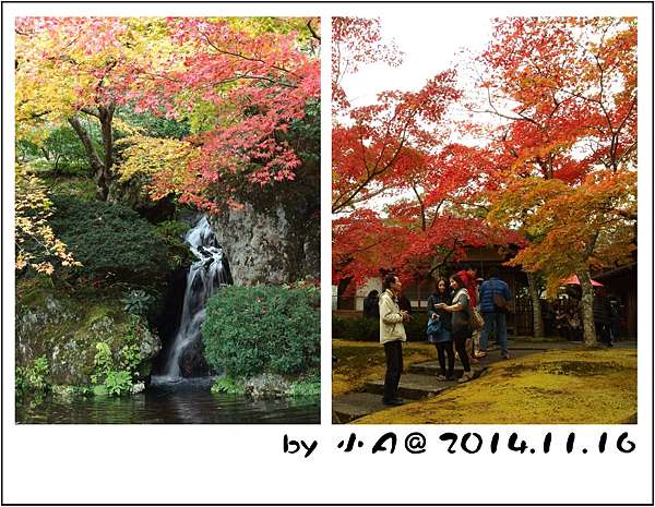 箱根 秋 紅葉名所 箱根美術館 紅葉季就人滿為患 庭園比展出品更讓人驚嘆 Smile Vacation ღ 微笑行旅 痞客邦 箱根 秋 紅葉名所 箱根美術館 紅葉季就人滿為患 庭園比展出品更讓人驚嘆 Smile Vacation ღ 微笑行旅 痞客邦
