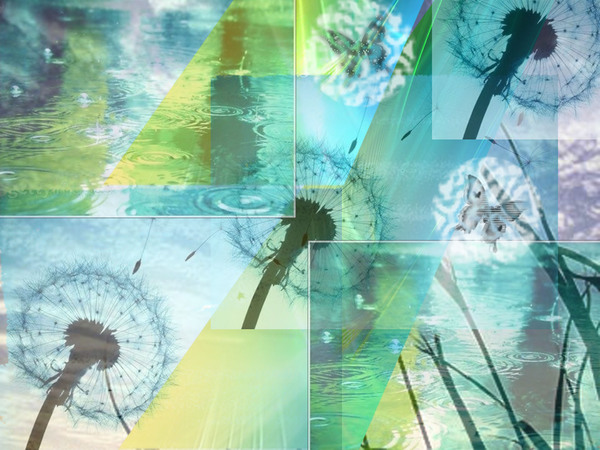 10-我的夏天的尾巴