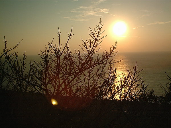 30-夏天的尾巴-澀 戀