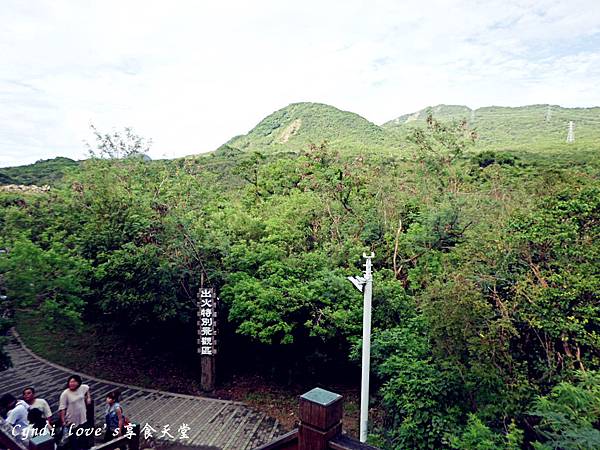 SAM_1304_副本 SAM_1304_副本