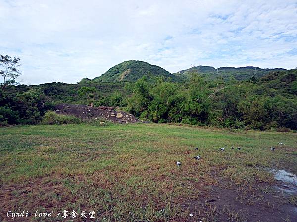 SAM_1313_副本 SAM_1313_副本