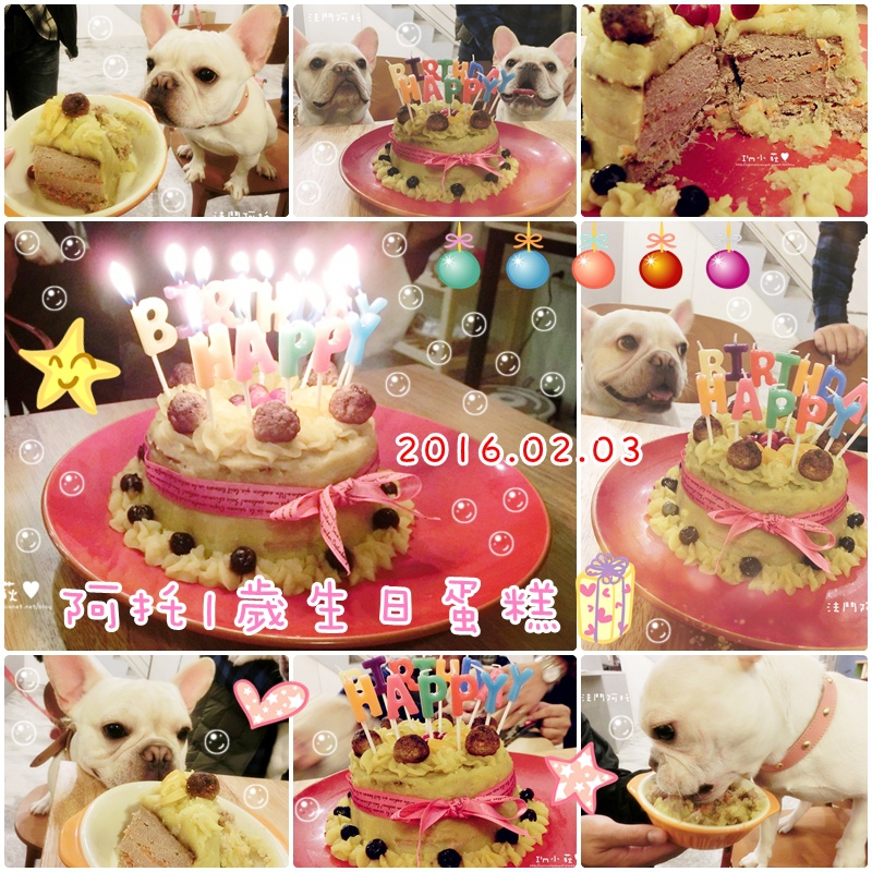 cats阿托1歲生日蛋糕.jpg cats阿托1歲生日蛋糕.jpg