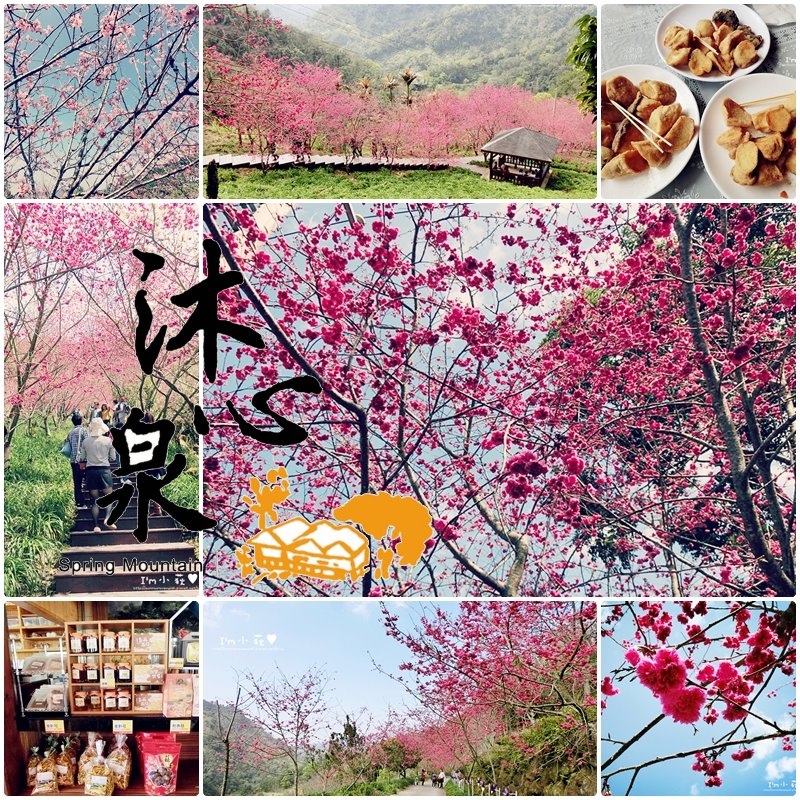 page沐心泉1.jpg page沐心泉1.jpg