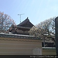 20120325 (41)