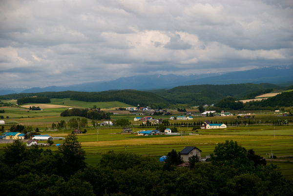 20090628101.jpg 20090628101.jpg