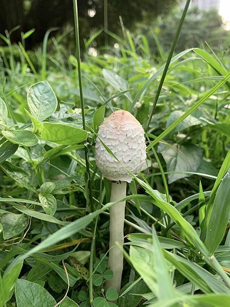 【單單喜歡你這個靈魂，再無其他】