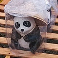 熊貓-2