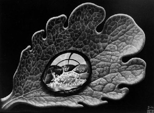 露珠-Dewdrop-1948