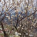 20140226_092205.jpg