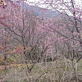 20140226_141112.jpg