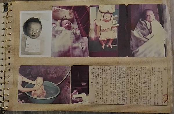 P_20170614_182132-crop.jpg P_20170614_182132-crop.jpg