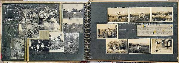 P_20170616_141851-crop