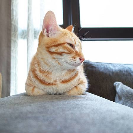 20141022眠いんだよ。 20141022眠いんだよ。