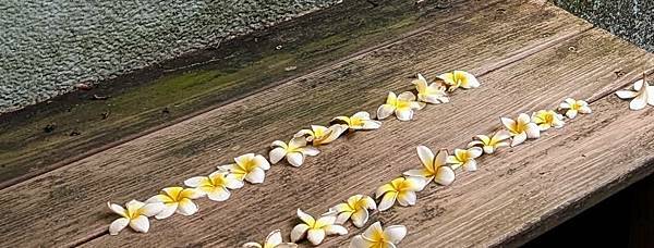 美食中的奇遇：記古亭秘徑小食光咖啡及站前樂雅樂餐廳