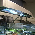 魚缸用LED燈02.jpg