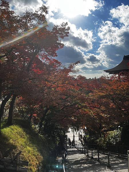 「日本旅遊」京都_錦市場~清水寺，超好拍，每張都是明信片