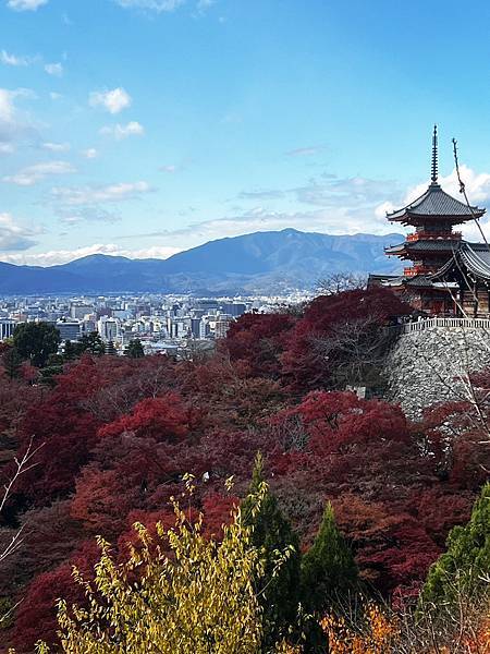 「日本旅遊」京都_錦市場~清水寺，超好拍，每張都是明信片