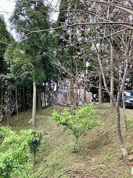 「露營ya」NO.18露-霧津山林，VIP雨棚景觀木棧板，杉