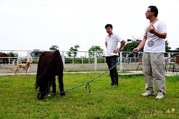 【宜蘭旅遊景點推薦】20120329 大洲馬場 【宜蘭民宿】Sunday Home