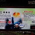 【宜蘭旅遊景點推薦】20140103 清水地熱煮蛋去 【宜蘭民宿】Sunday Home