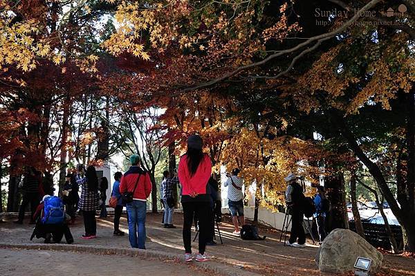 【宜蘭旅遊景點推薦】20141126 福壽山農場/梨山蜜蘋果 【宜蘭民宿】Sunday Home