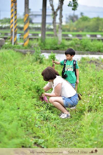 【宜蘭景點推薦】20200429 張美阿嬤農場 【宜蘭民宿】Sunday Home