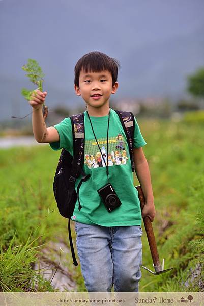 【宜蘭景點推薦】20200429 張美阿嬤農場 【宜蘭民宿】Sunday Home