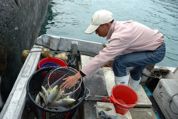 豐收的南方澳‧喊魚的樂趣 【宜蘭民宿】Sunday Home