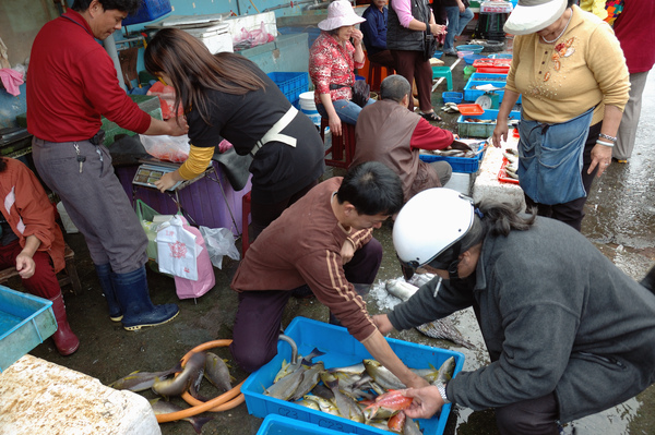 豐收的南方澳‧喊魚的樂趣 【宜蘭民宿】Sunday Home