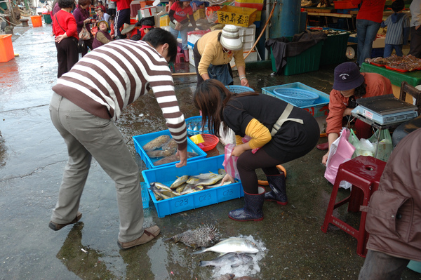 豐收的南方澳‧喊魚的樂趣 【宜蘭民宿】Sunday Home