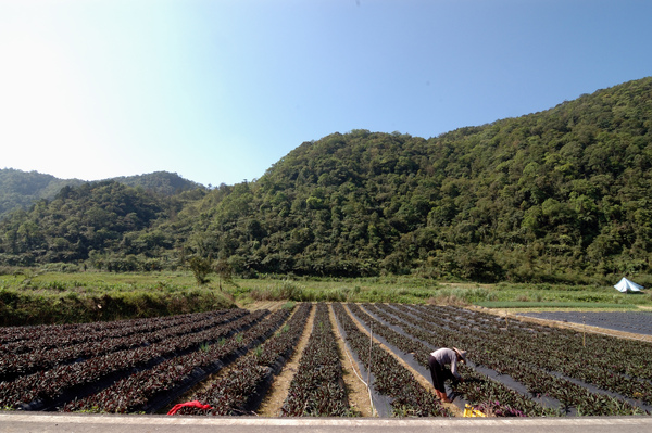 【宜蘭旅遊景點】福山植物園 【宜蘭民宿】Sunday Home