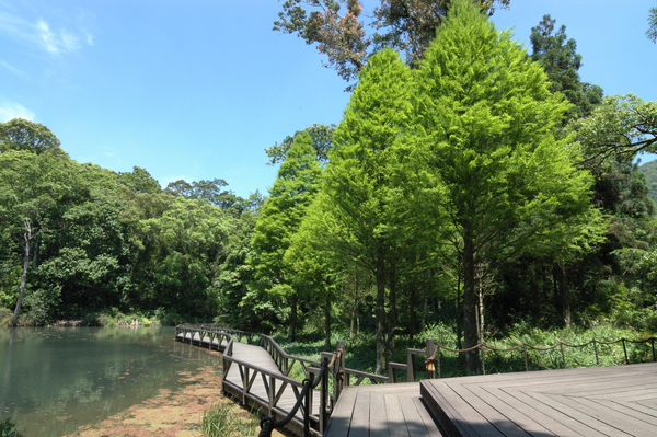 【宜蘭旅遊景點】福山植物園 【宜蘭民宿】Sunday Home