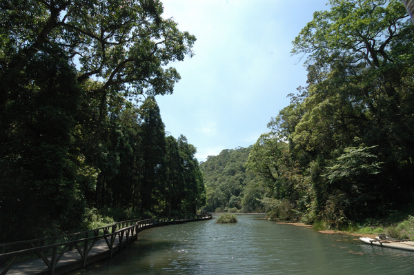 【宜蘭旅遊景點】福山植物園 【宜蘭民宿】Sunday Home