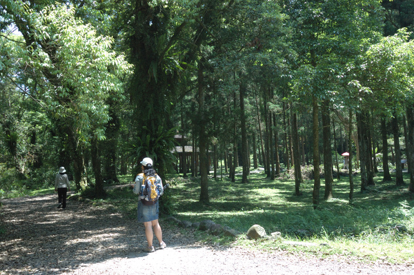 【宜蘭旅遊景點】福山植物園 【宜蘭民宿】Sunday Home