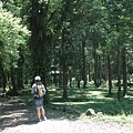 【宜蘭旅遊景點】福山植物園 【宜蘭民宿】Sunday Home