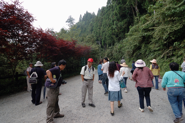 【宜蘭旅遊景點推薦】神木的故鄉-馬告生態公園 【宜蘭民宿】Sunday Home