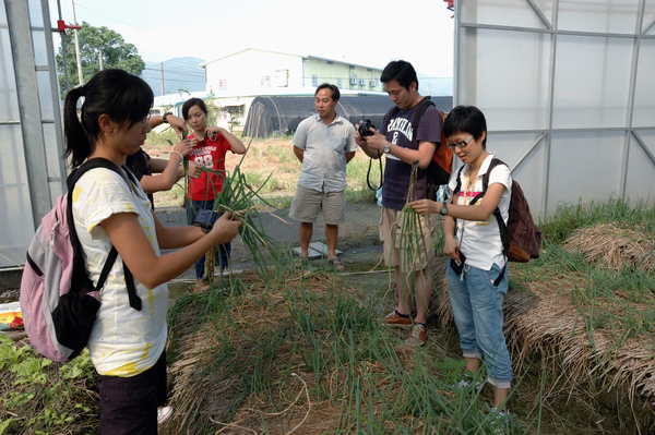 【宜蘭旅遊推薦】蔥仔寮/蔥油餅DIY 【宜蘭民宿】Sunday Home