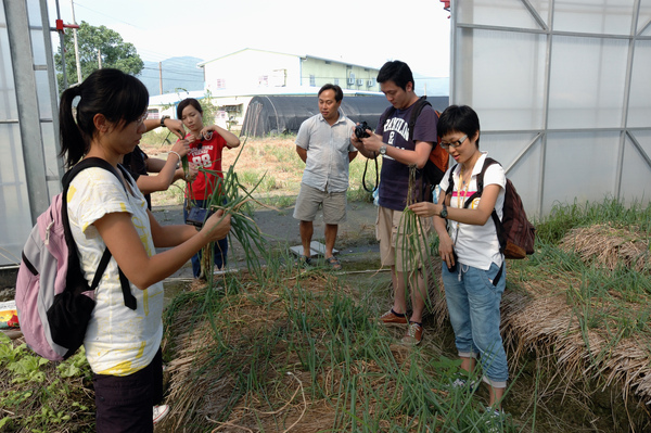 【宜蘭旅遊推薦】蔥仔寮/蔥油餅DIY 【宜蘭民宿】Sunday Home