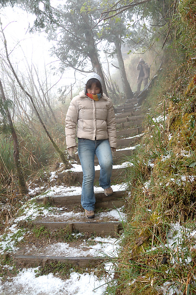 【宜蘭旅遊景點推薦】太平山-台灣山毛櫸步道 【宜蘭民宿】Sunday Home