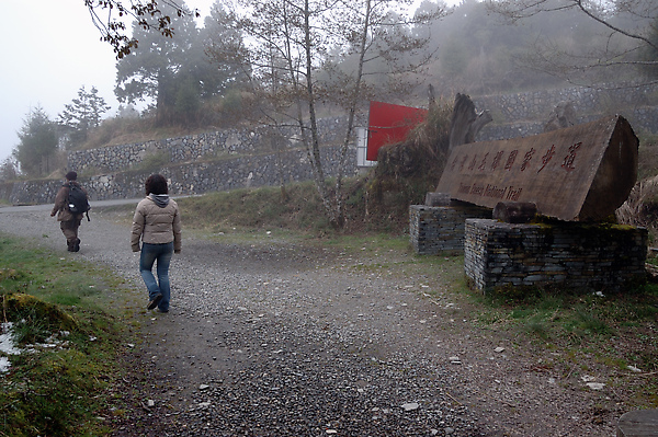 【宜蘭旅遊景點推薦】太平山-台灣山毛櫸步道 【宜蘭民宿】Sunday Home